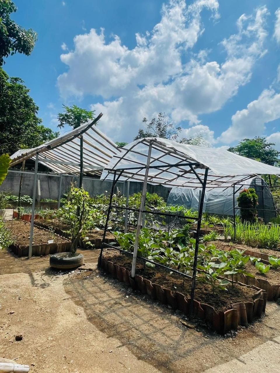 Anggrek Putih Lombok Cooking Class And Homestay Senggigi Eksteriør bilde