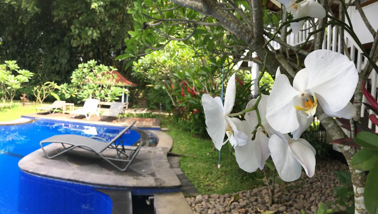 Anggrek Putih Lombok Cooking Class And Homestay Senggigi Rom bilde