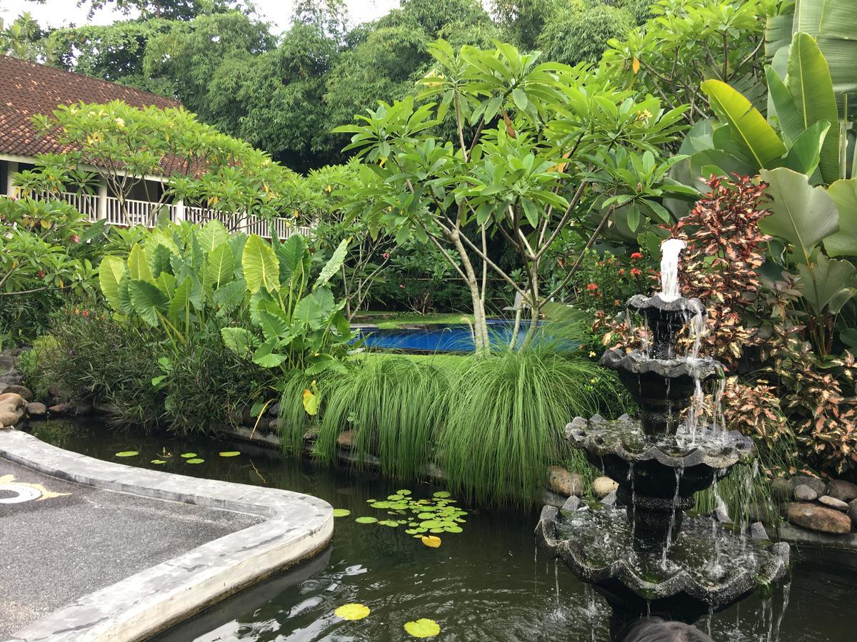 Anggrek Putih Lombok Cooking Class And Homestay Senggigi Rom bilde